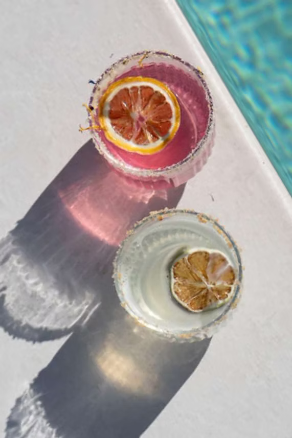 Citrus Huis Dried Lemon with drinks